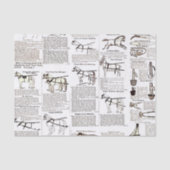 Paarden Antiek Adverteren krantenkunst Tissuepapier (Voorkant)