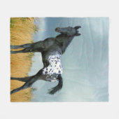 Paarden - Appaloosa Colt Fleece Blanket (Voorkant (Horizontaal))