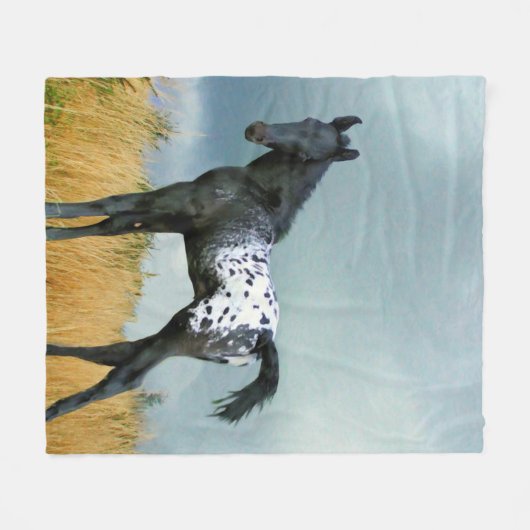 Paarden - Appaloosa Colt Fleece Blanket (Voorkant (Horizontaal))