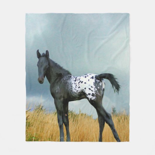 Paarden - Appaloosa Colt Fleece Blanket Deken (Voorkant)