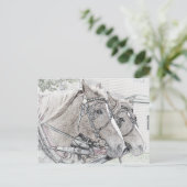 Paarden art. 2010 3 briefkaart (Staand voorkant)