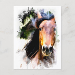 *~* Paarden Artistisch schilderen Equine AR22 Arts Briefkaart