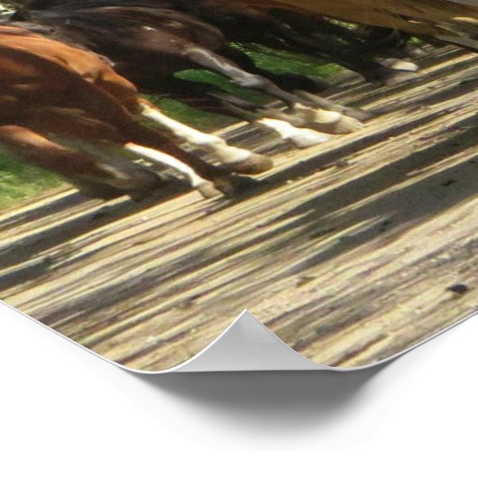 Paarden Aspens New Mexico Poster (Hoek)