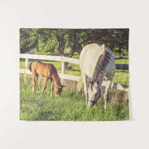 Paarden Baby landbouwhuisdieren medium Wandkleed