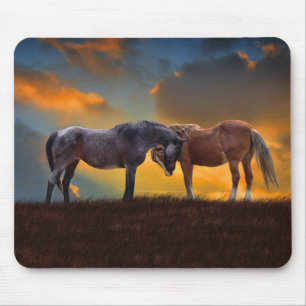 Paarden Beauful Sunset Surreal Fantasy Land Muismat