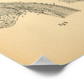 Paarden Beenspier Anatomie 1908  afdrukken Poster (Hoek)