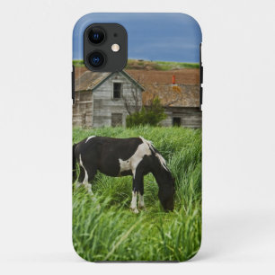 Paarden bekijken in een veld in de Palouse 2 iPhone 11 Hoesje