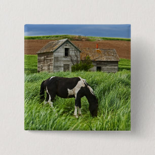 Paarden bekijken in een veld in de Palouse 2 Vierkante Button 5,1 Cm