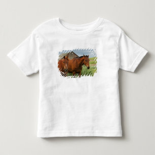 Paarden bekijken in een veld in de Palouse 3 Kinder Shirts