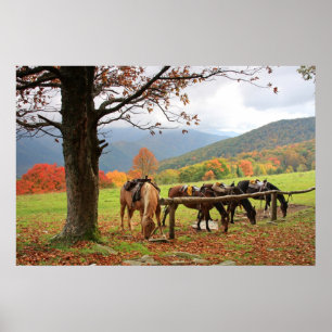 Paarden, bergen, herfst Poster