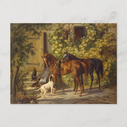Paarden bij de Porch Briefkaart (Voorkant)