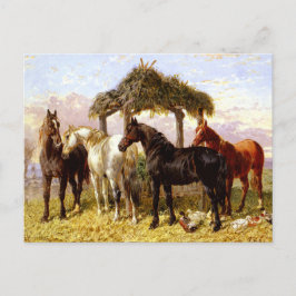 Paarden bij een rivier rond 1800 briefkaart