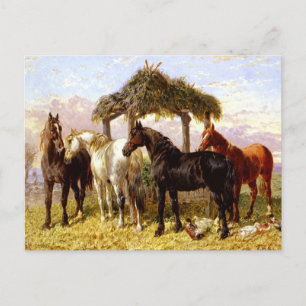 Paarden bij een rivier rond 1800 briefkaart