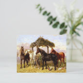 Paarden bij een rivier rond 1800 briefkaart (Staand voorkant)