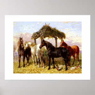 Paarden bij een rivier rond 1800 poster