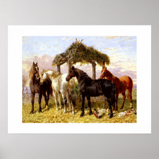 Paarden bij een rivier rond 1800 poster