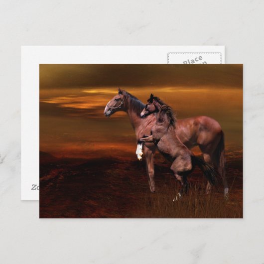 Paarden bij schemering briefkaart (Voorkant / Achterkant)