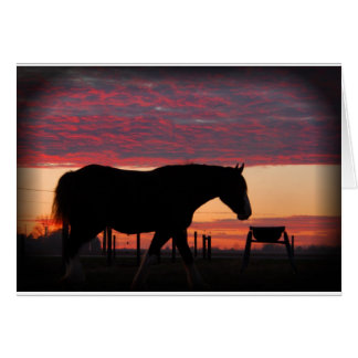 Paarden bij zonsondergang
