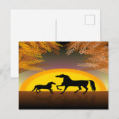 paarden bij zonsondergang briefkaart (Voorkant / Achterkant)