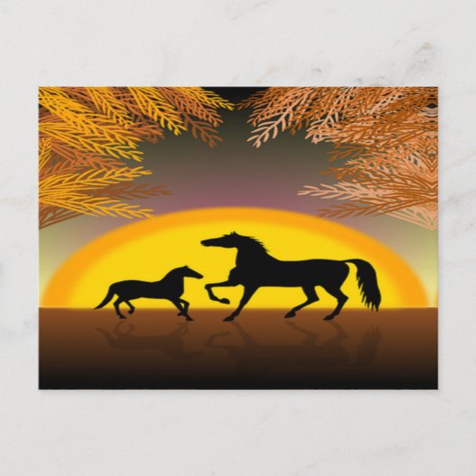 paarden bij zonsondergang briefkaart (Voorkant)