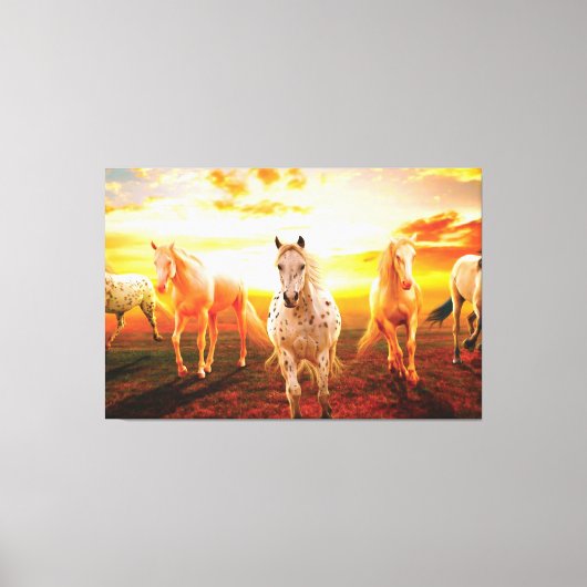Paarden bij zonsondergang canvas afdruk (Voorkant)