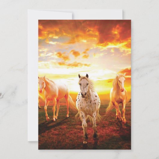 Paarden bij zonsondergang feestdagenkaart (Voorkant)