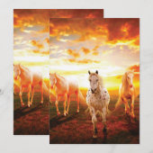 Paarden bij zonsondergang feestdagenkaart (Voorkant / Achterkant)