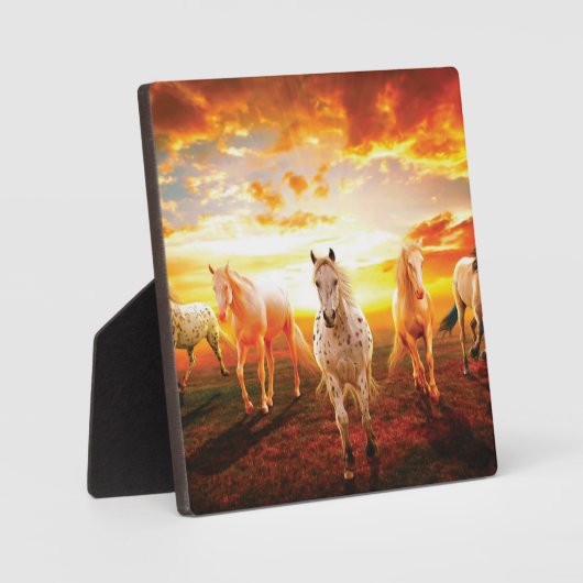 Paarden bij zonsondergang fotoplaat (Voorkant)