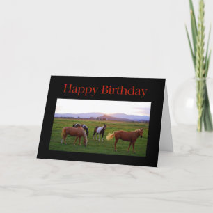 Paarden bij zonsondergang Happy Birthday Kaart