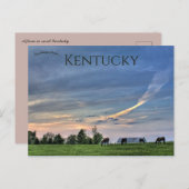 Paarden bij zonsondergang in Lexington, Kentucky Briefkaart (Voorkant / Achterkant)