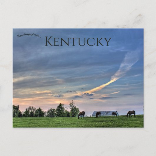 Paarden bij zonsondergang in Lexington, Kentucky Briefkaart (Voorkant)
