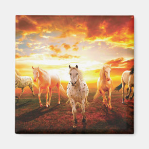 Paarden bij zonsondergang magneet