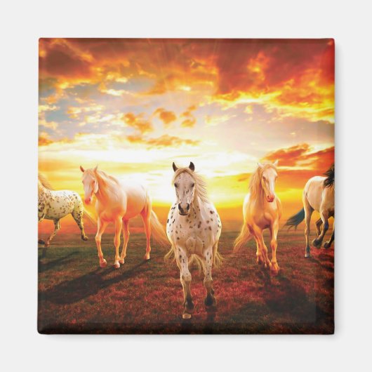 Paarden bij zonsondergang magneet (Voorkant)