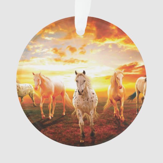 Paarden bij zonsondergang ornament (voorkant)