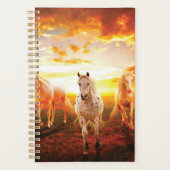 Paarden bij zonsondergang planner (Voorkant)