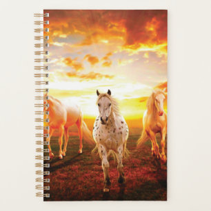 Paarden bij zonsondergang planner
