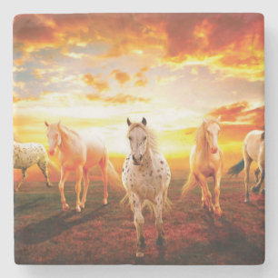 Paarden bij zonsondergang stenen onderzetter