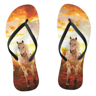 Paarden bij zonsondergang teenslippers