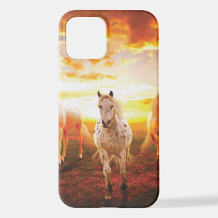 Paarden bij zonsondergang throw kussen iPhone hoes 12 Hoesje