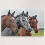 Paarden Boerderij Dierlijke Natuur Legpuzzel<br><div class="desc">Deze natuur met de puzzel in de puzzel staat voor drie paarden in een weide die de camera bekijkt #horse #paarden #animal #animal #boerderij #farmlife #natuur #landscape #outdoor #landscape #jigzaag #puzzle #jigsawpuzzle #gifts #gift #gift #leuke #stockingstuffers #games</div>