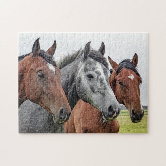 Paarden Boerderij Dierlijke Natuur Legpuzzel (Horizontaal)