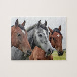 Paarden Boerderij Dierlijke Natuur Legpuzzel<br><div class="desc">Deze natuur met de puzzel in de puzzel staat voor drie paarden in een weide die de camera bekijkt #horse #paarden #animal #animal #boerderij #farmlife #natuur #landscape #outdoor #landscape #jigzaag #puzzle #jigsawpuzzle #gifts #gift #gift #leuke #stockingstuffers #games</div>