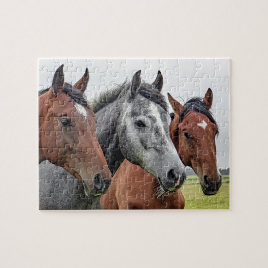 Paarden Boerderij Dierlijke Natuur Legpuzzel (Horizontaal)