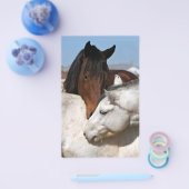 paarden boerderij ranch equine westerne sportliefd flyer (Enkel)