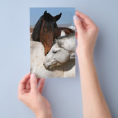 paarden boerderij ranch equine westerne sportliefd flyer (Hand)