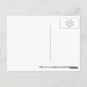 Paarden Briefkaart (Achterkant)