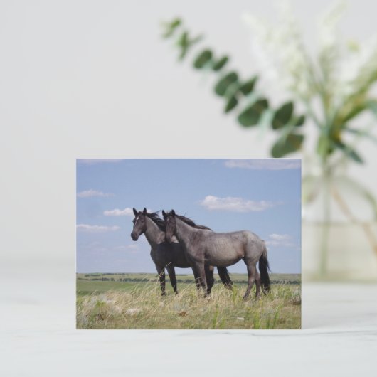 Paarden Briefkaart (Staand voorkant)