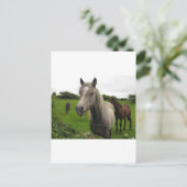 Paarden Briefkaart (Staand voorkant)