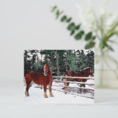 Paarden Briefkaart (Staand voorkant)