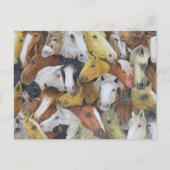 Paarden Briefkaart (Voorkant)